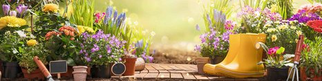 En blomstrende have med farverige blomsterplanter i potter og en gul gummistøvle. Der er også nogle haveværktøjer og en træterrasse, hvor sollyset skinner blødt ind, hvilket skaber en varm og indbydende atmosfære.